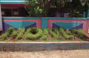 image11